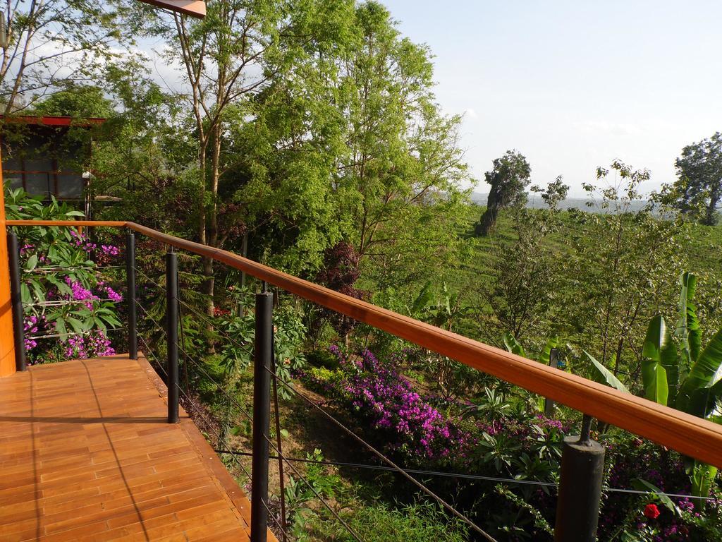 Aythaya Monte Divino Lodge Таунджи Экстерьер фото